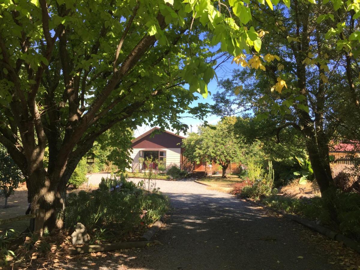 Chris'S Cabin Greytown Εξωτερικό φωτογραφία